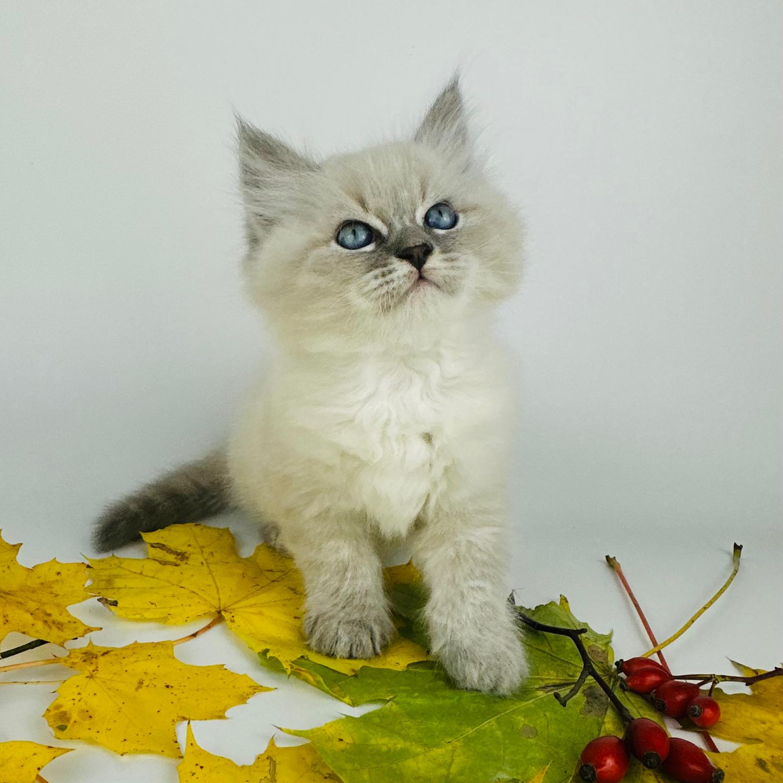 Kuva: Martina Svobodová