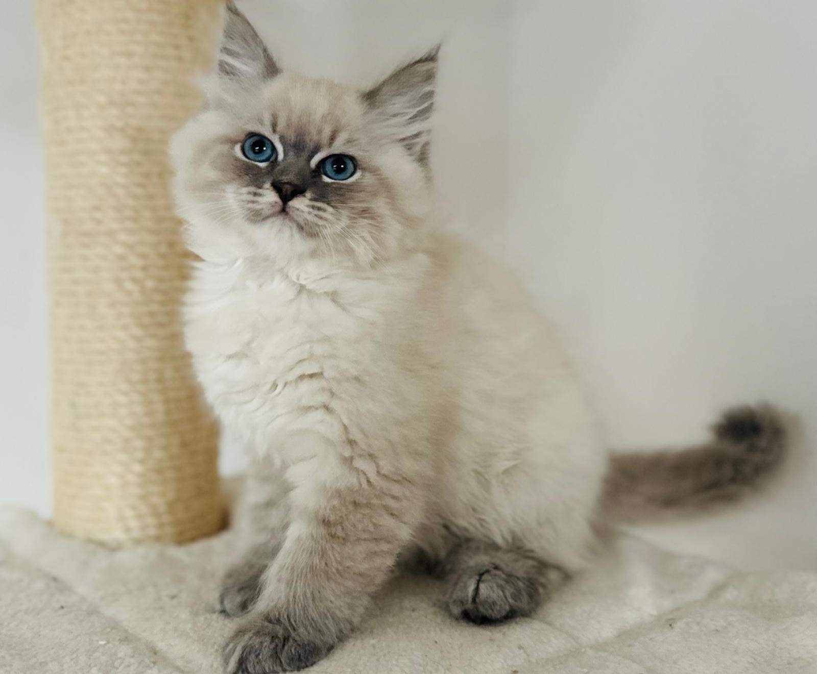 Kuva: Martina Svobodová