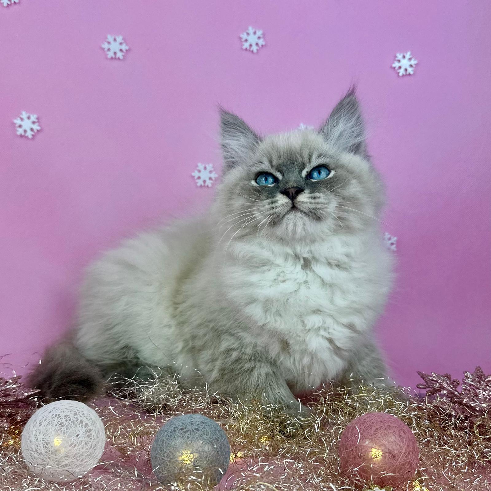 Kuva: Martina Svobodová